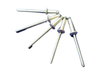 Paku Rivet